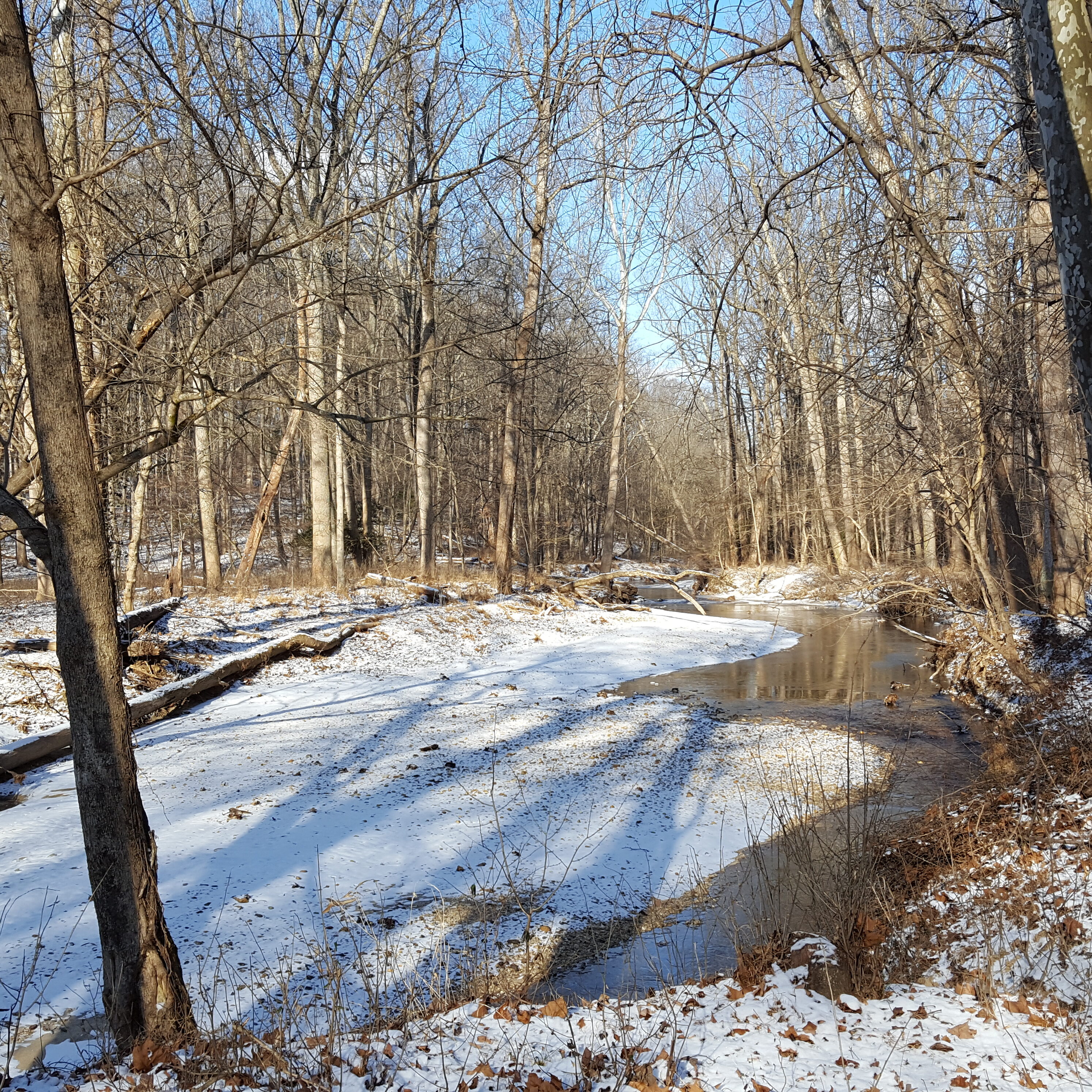 Creekside with Snow