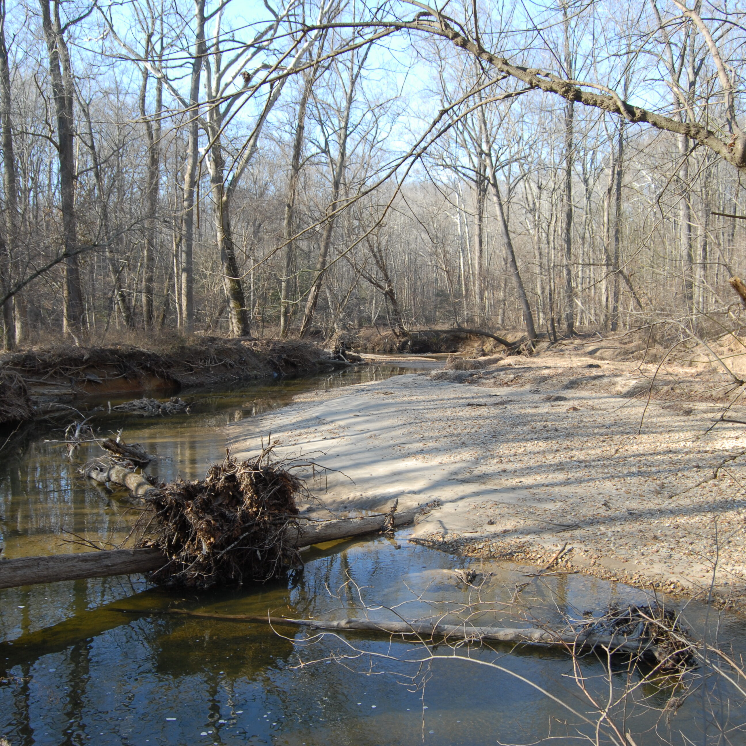 Creekside in Winter